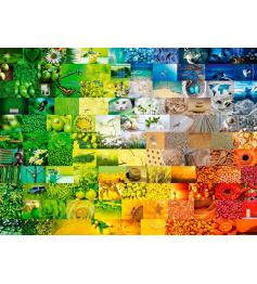 Puzzle Bluebird Cores Maravilhosas de 3000 Peças