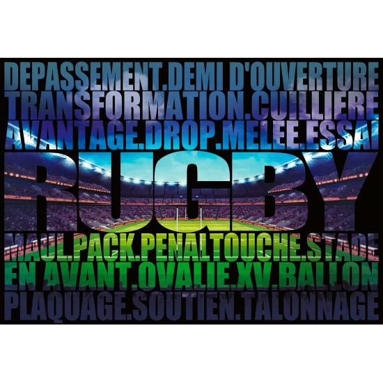 Puzzle Bluebird Avançado no Rugby de 500 peças