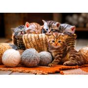 Puzzle Bluebird Gatinhos na Cesta de Fios 1000 Peças