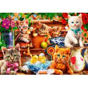 Puzzle Bluebird Gatinhos de no Galpão 1000 peças