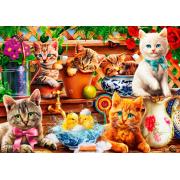 Puzzle Bluebird Gatinhos de no Galpão 1000 peças