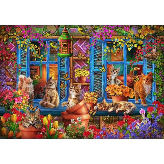 Puzzle Bluebird Gatos de Prateleira de 1000 Peças