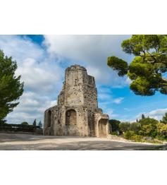 Puzzle Bluebird La Torre Magna, Nîmes de 1000 Peças