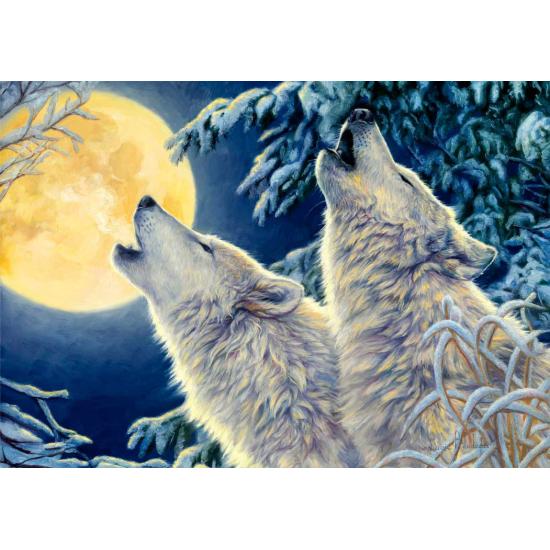 Puzzle Bluebird Moonlight 1000 peças