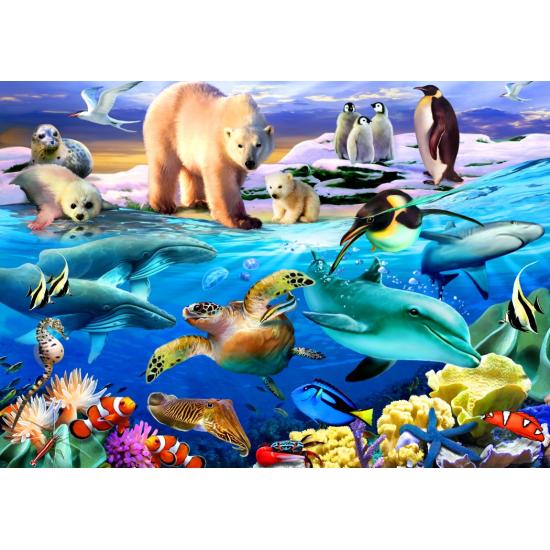 Puzzle Bluebird Océanos da Vida de 1000 Peças Puzzle Bluebird Océanos da Vida de 1000 Peças