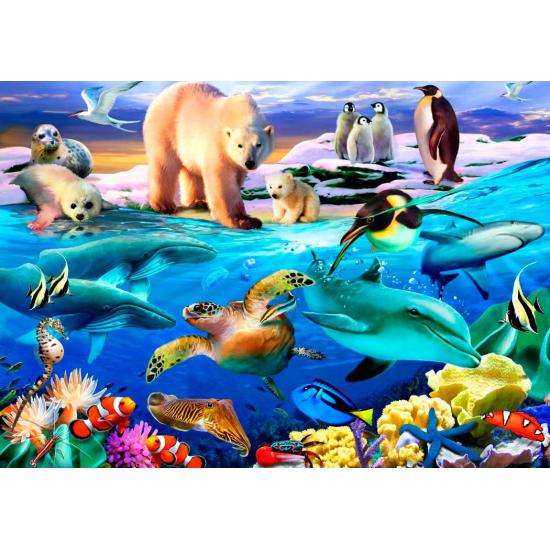 Puzzle Bluebird Oceanos da Vida 1000 Peças