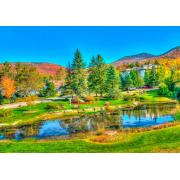 Puzzle Bluebird Stowe, Vermont, EUA 1000 peças