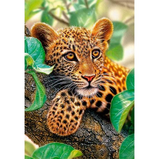 Puzzle Castorland Abraçando a Árvore 1500 Peças