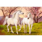 Puzzle Castorland Amor Unicornio 1000 peças