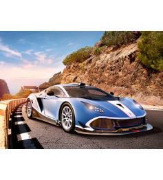 Puzzle Castorland Arrinera Hussarya GT 300 peças