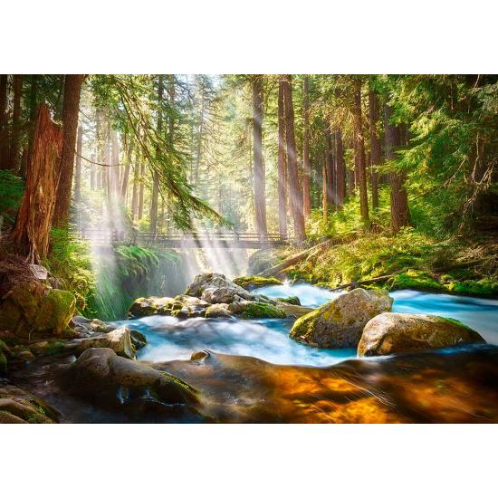 Puzzle Castorland Floresta de Luz 500 peças