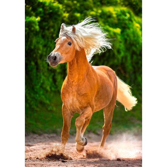 Puzzle Castorland Haflinger Cavalo de Corrida 500 Peças