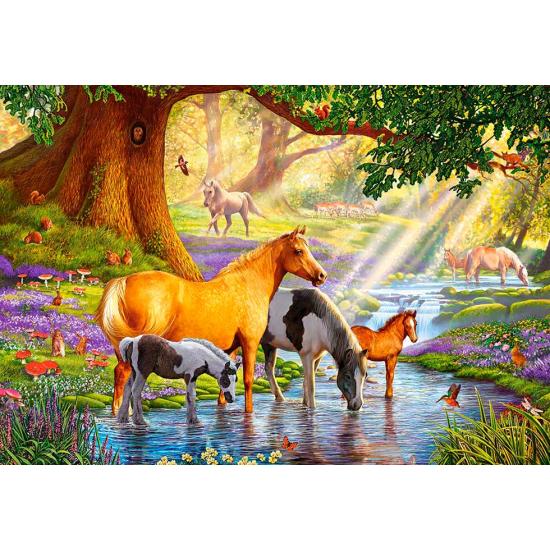Cavalos de Puzzle Castorland no fluxo 1000 peças