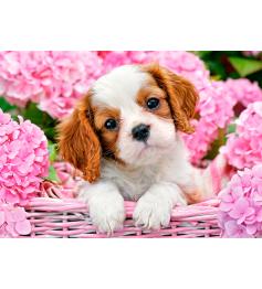 Cachorro Castorland em flores cor de rosa 180 peças quebra-cabeç