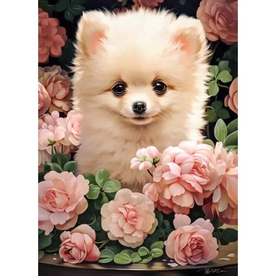 Puzzle Castorland Filhote de cachorro da Pomerânia em rosas de 3 Puzzle Castorland Filhote de cachorro da Pomerânia em rosas de 3