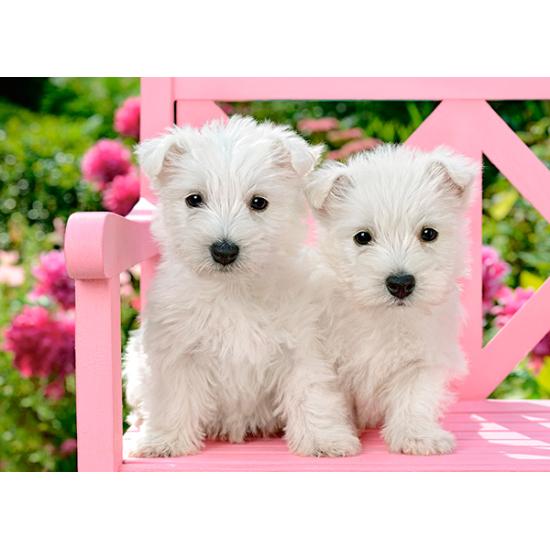 Puzzle Castorland Cachorros White Terrier 120 Peças Puzzle Castorland Cachorros White Terrier 120 Peças