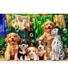 Puzzle Castorland Filhotes, Roupa Para Lavar E Pássaros 500 peça