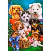 Puzzle Castorland Cachorros 1000 peças