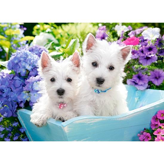 Puzzle Castorland Cachorros Westie 200 peças