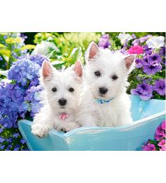 Puzzle Castorland Cachorros Westie 60 peças