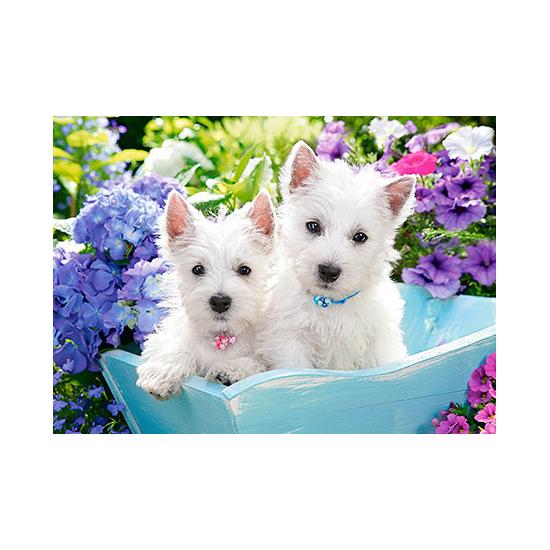 Puzzle Castorland Cachorros Westie 60 peças Puzzle Castorland Cachorros Westie 60 peças