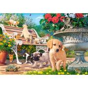 Puzzle Castorland Filhotes Brincando de Esconde-esconde 500 peç