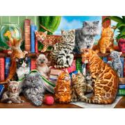 Puzzle Castorland Casinha de Gato 2000 Peças