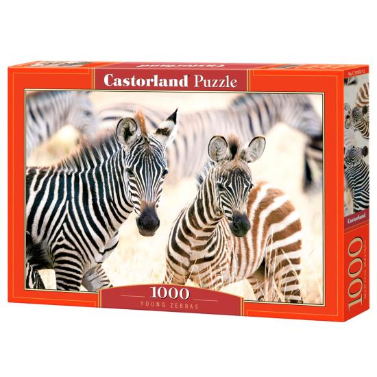 Puzzle Castorland Zebras Jovens 1000 Peças Puzzle Castorland Zebras Jovens 1000 Peças