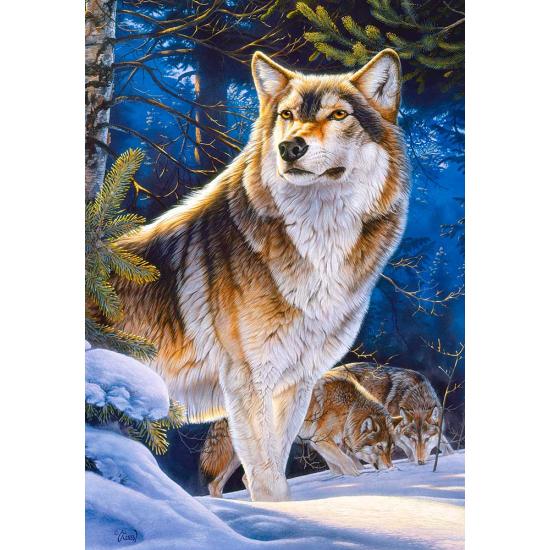 Puzzle Castorland Sentinela 1000 Peças