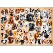 Puzzle Castorland Colagem de Cachorros 1500 Peças