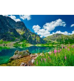 Puzzle Castorland Czarny Staw Pod Rysami, Montanhas Tatra de 500