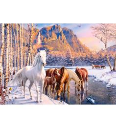 Puzzle Castorland Descongelar no Inverno de 500 pçs