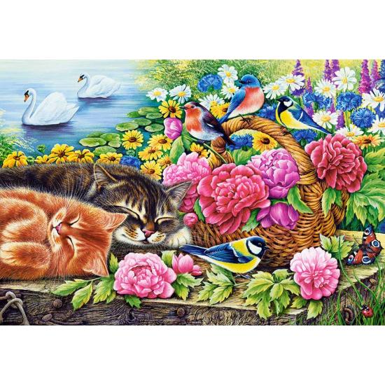 Puzzle Castorland Domingo Preguiçoso de 1000 peças