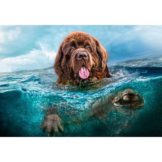 Puzzle Castorland The Castaway 1000 peças