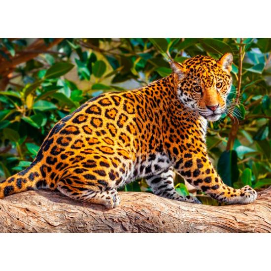 Puzzle Castorland O Pequeno Jaguar 260 Peças