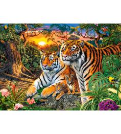 Puzzle Castorland Familia de Tigres de 180 pçs