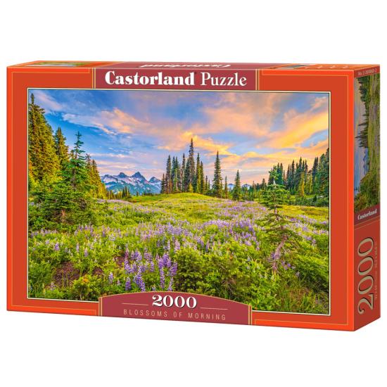 Puzzle Castorland Flores da Manhã de 2000 Peças