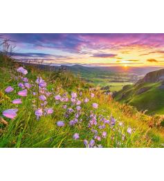 Puzzle Castorland Flores Silvestres ao Nascer do Sol de 500 pçs