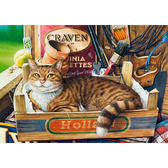 Puzzle Castorland Fothergill, O Gato na Caixa 500 Peças Puzzle Castorland Fothergill, O Gato na Caixa 500 Peças