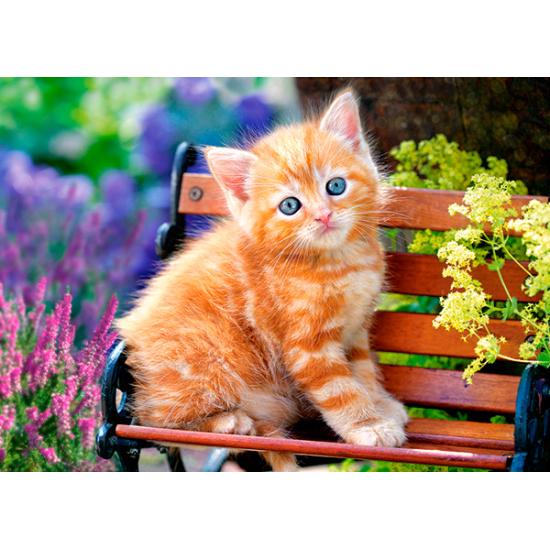 Puzzle Castorland Gatinho Loiro 180 Peças