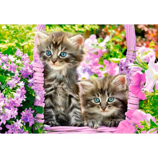 Puzzle Castorland Gatinhos no Jardim de Verão de 1000 pçs