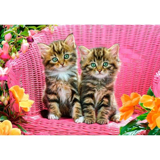 Gatinhos de Puzzle Castorland na cadeira de jardim 1000 p
