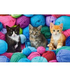 Puzzle Castorland Gatinhos de na Loja de Fios 1000 peças