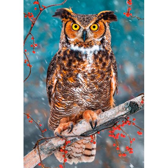 Puzzle Castorland Grande Coruja Chifre 260 Peças