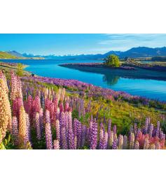 Puzzle Castorland Lago Tekapo, Nova Zelândia de 500 peças