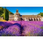 Puzzle Castorland Lavanda em Notre Dame de Senanque 1000 Pzs