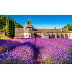 Puzzle Castorland Lavanda em Notre Dame de Senanque 1000 Pzs