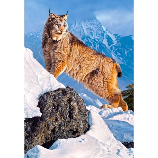Castorland Lynx na Montanha Puzzle 1000 Peças