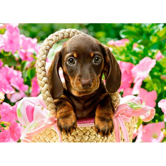 Puzzle Castorland Dachshund Fofo de 260 peças