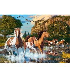 Puzzle Castorland A Terra dos Cavalos 1000 Peças